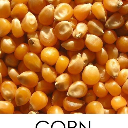 Maize/Corn (Makka)
