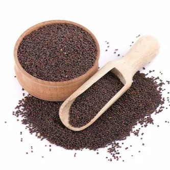 Mustard Seeds (Sarson)