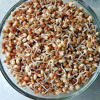 Matki Dal (Moth Beans) (Copy)