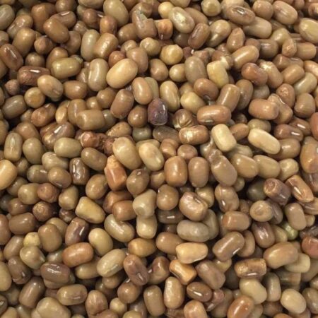 Moth Dal (Turkish Gram)