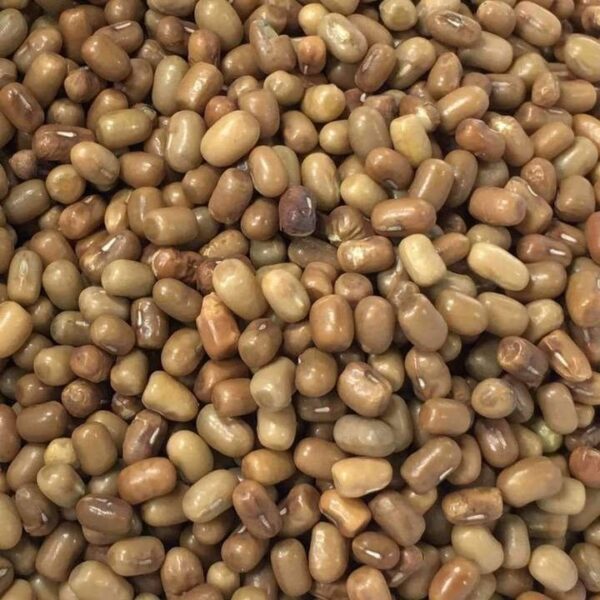 Moth Dal (Turkish Gram)