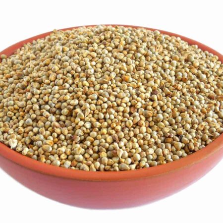 Pearl Millet (Bajra)
