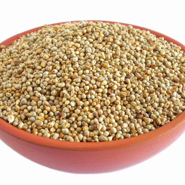 Pearl Millet (Bajra)